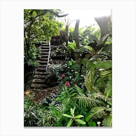 Stairway To The Jungle Canvas Print