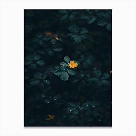 Yellow Flower In Water 2 Canvas Print