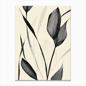 Black And White Leaves Canvas Print