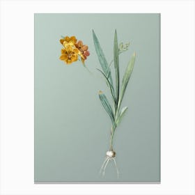 Vintage Ixia Miniata Botanical Art on Mint Green n.0805 Canvas Print