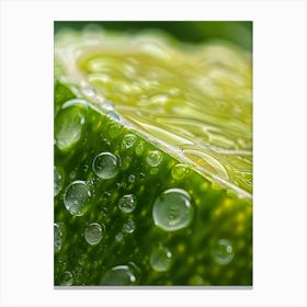 Water Droplets On Lime Canvas Print