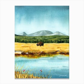 Yellowstone Buffalo Landscape Canvas Print