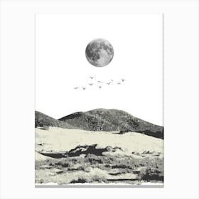 Moon Over The Desert Canvas Print