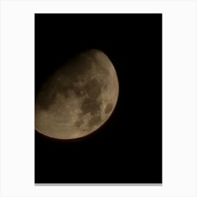 Full Moon Canvas Print