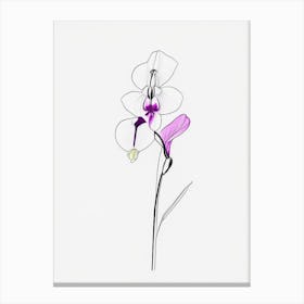Orchid Floral Minimal Line Drawing 1 Flower Canvas Print