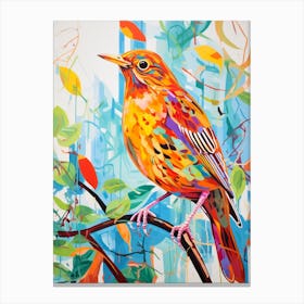 Colourful Bird Painting Hermit Thrush 2 Canvas Print