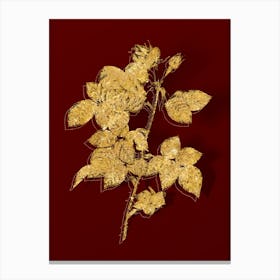 Vintage Pink Bourbon Roses Botanical in Gold on Red n.0271 Canvas Print