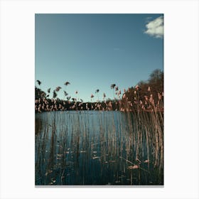 Nature Grass In A Lake Canvas Print