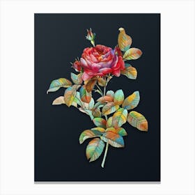 Vintage Red Gallic Rose Botanical Watercolor Illustration on Dark Teal Blue n.0673 Canvas Print