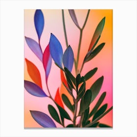 Kalanchoe Colourful Illustration Plant Canvas Print