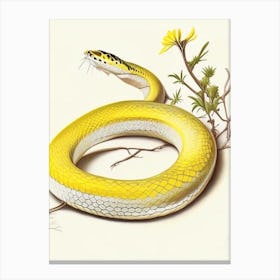 Yellow Rat Snake 1 Vintage Canvas Print