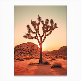  Photograph Of A Joshua Tree At Dawn In Desert 4 Canvas Print