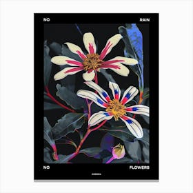 No Rain No Flowers Poster Cineraria 4 Canvas Print