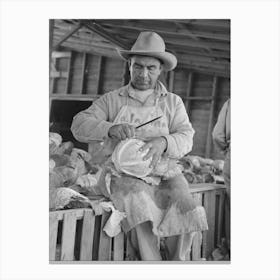 Mexican Cabbage Packer, Alamo, Texas By Russell Lee Canvas Print