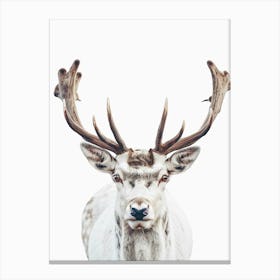 Deer Head Canvas Print Canvas Print