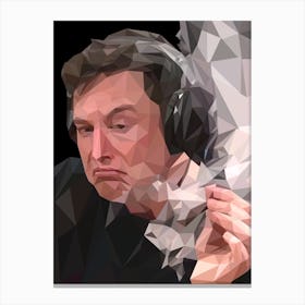 Elon Musk meme Canvas Print