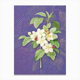 Vintage Apple Blossom Botanical Illustration on Veri Peri Canvas Print