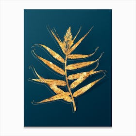 Vintage Bush Cane Botanical in Gold on Teal Blue n.0159 Canvas Print