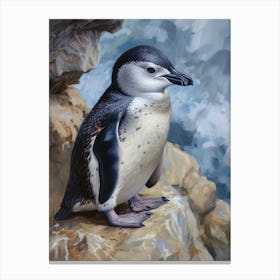 African Penguin Dunedin Taiaroa Head Oil Painting 2 Canvas Print