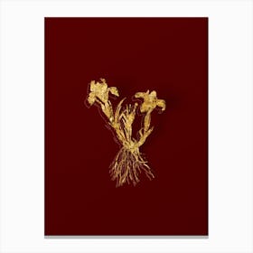 Vintage Sand Iris Botanical in Gold on Red Canvas Print