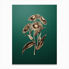 Gold Botanical Shewy Stenactis on Dark Spring Green n.0995 Canvas Print
