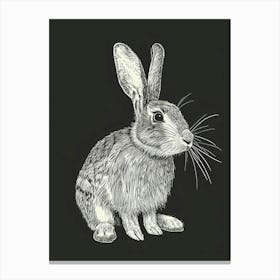 Californian Rabbit Minimalist Illustration 1 Canvas Print