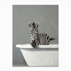 Zebra In Bathtub 1 Canvas Print