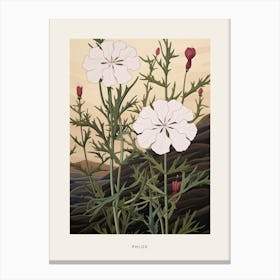 Flower Illustration Phlox 1 Poster Canvas Print