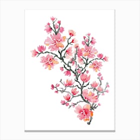 Watercolor Cherry Blossoms 3 Canvas Print