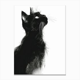 Black Cat 2 Canvas Print