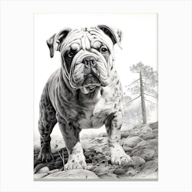 Paws & Poses Canvas Print