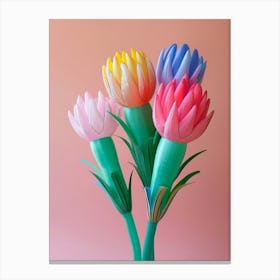 Dreamy Inflatable Flowers Protea 1 Canvas Print