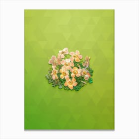 Vintage Piotta's Oxalis Flower Botanical Art on Love Bird Green n.0802 Canvas Print
