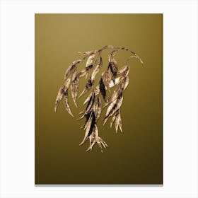 Gold Botanical Babylon Willow on Dune Yellow n.2007 Canvas Print