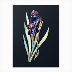 Vintage German Iris Botanical Watercolor Illustration on Dark Teal Blue n.0653 Canvas Print