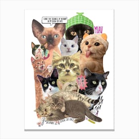 ♥ cats delirium ♥ Canvas Print