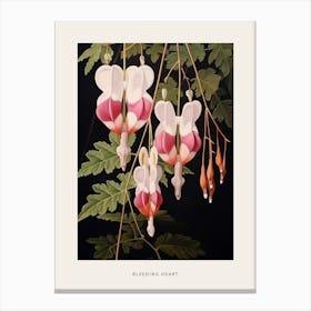 Flower Illustration Bleeding Heart Flower 3 Poster Canvas Print