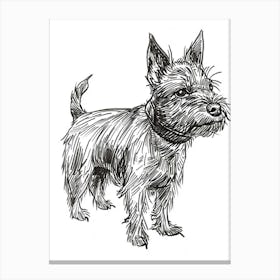 Australian Terrier Line Sketch 4 Canvas Print