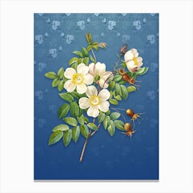 Vintage White Candolle Rose Botanical on Bahama Blue Pattern n.0836 Canvas Print