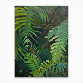 Southern Shield Fern Cézanne Style Canvas Print