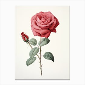 Roses Flower Vintage Botanical 1 Canvas Print