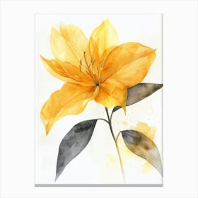 Yellow Lily 1 Canvas Print