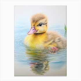 Ducklings Floating Along The Water 1 Canvas Print