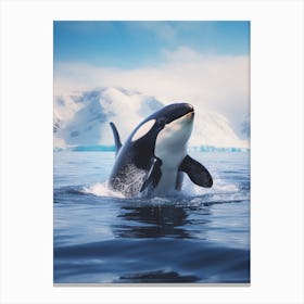 Icy Blue Realistic Photography Orca Whale 2 Canvas Print