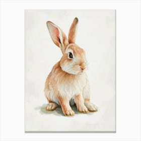 Rhinelander Rabbit Kids Illustration 2 Canvas Print