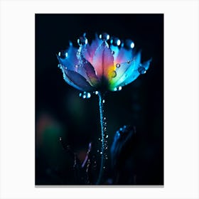 Flower In The Dark Canvas Print