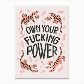 Own Your Fucking Power Canvas Print