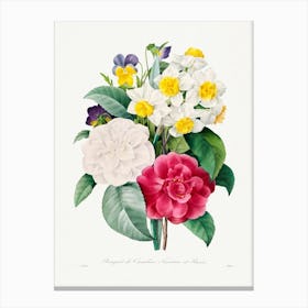 Camellia Narcissus And Pansy Bouquet, Pierre Joseph Redouté Canvas Print