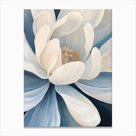 Magnolia 3 Canvas Print