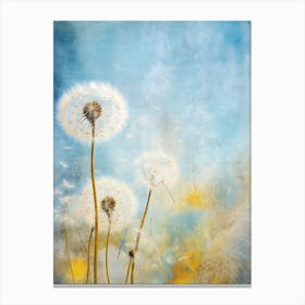 Dandelion 15 Canvas Print